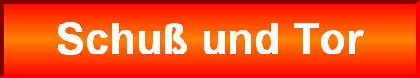 Schu&szlig; und Tor
